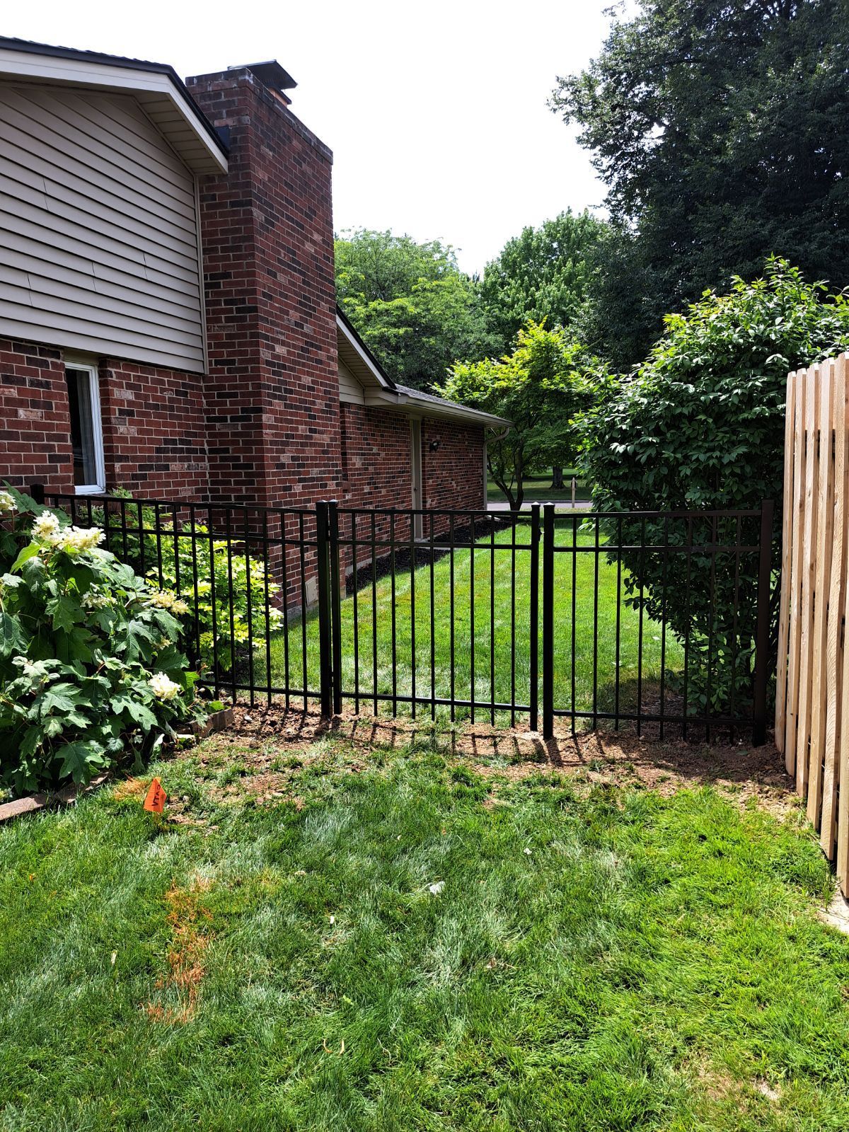 Black metal fence in a yard, beside a brick building and a wooden fence; green grass and trees.
