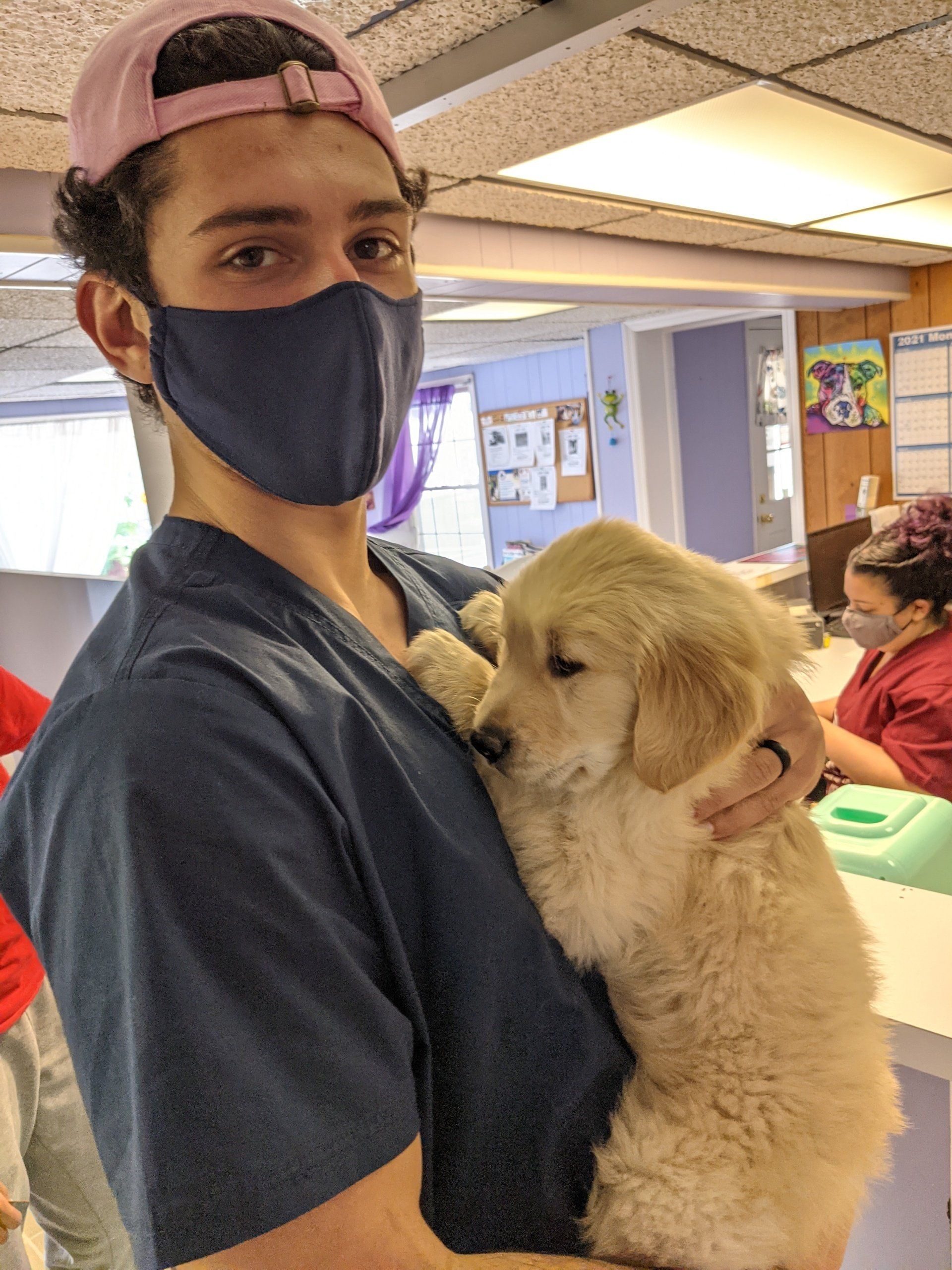 About Amboy Avenue Animal Hospital Metuchen NJ Veterinarians