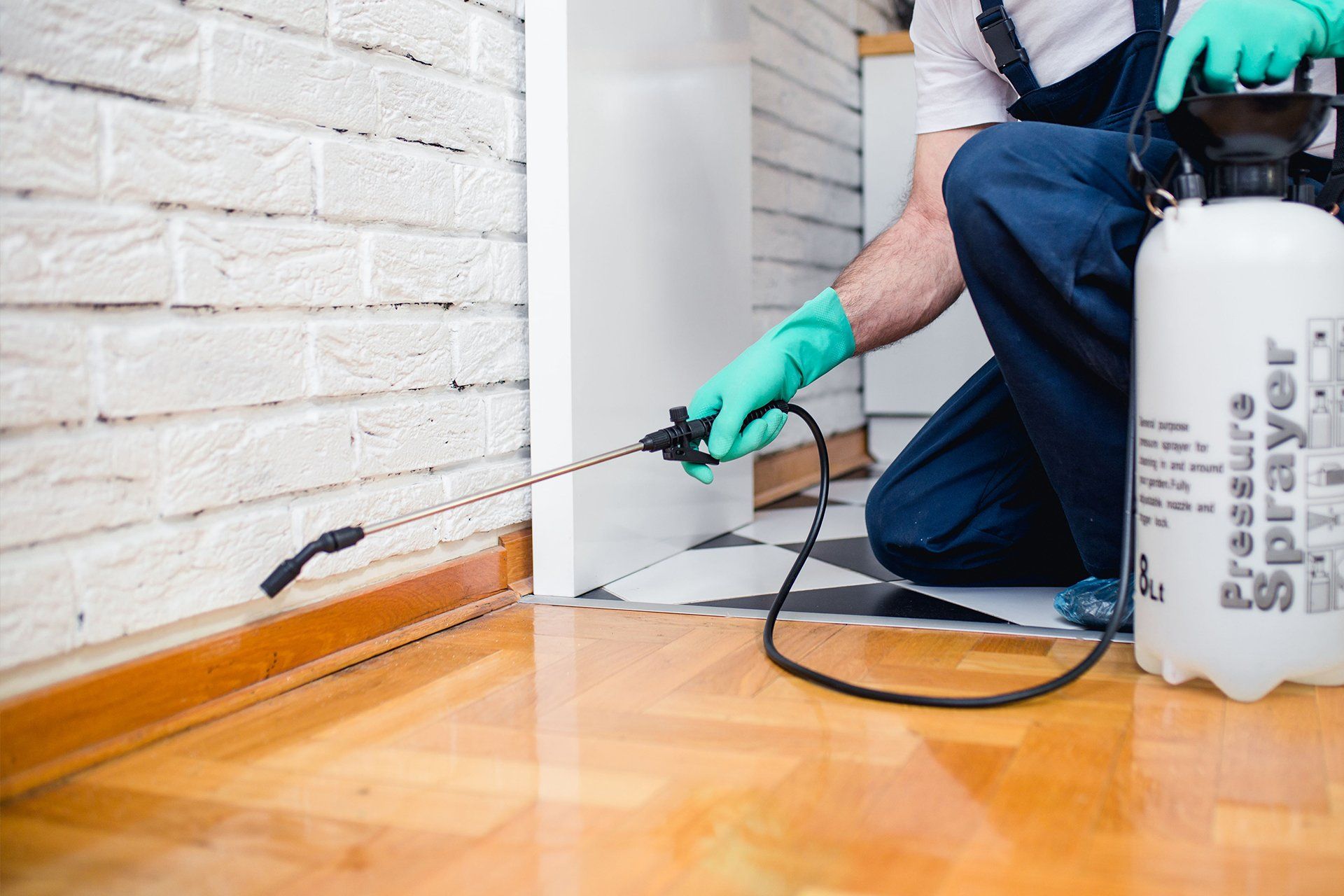 Emergency pest control services