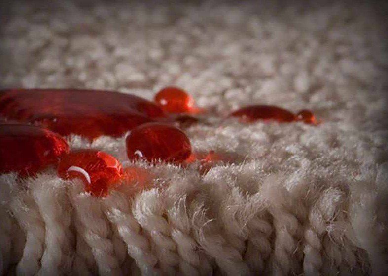 carpet with protector
