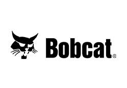 Bobcat