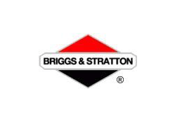 Briggs & Stratton