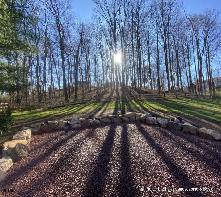 Sunlit leafless woodland with long tree shadows over a landscaped gravel path edged with stones