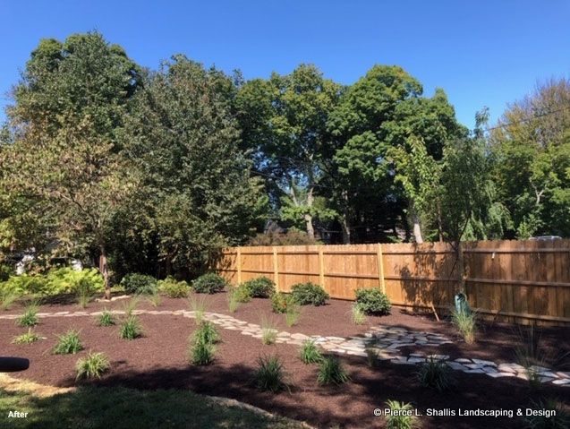 Landscaped backyard with mulch beds, young shrubs, and a wooden fence under a clear blue sky