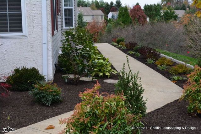 Curved garden path beside a house, bordered by shrubs and colorful landscaping plants.