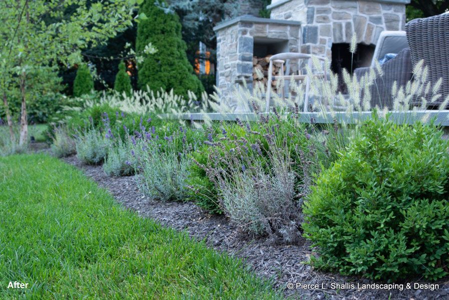 Lush green and lavender landscape bed beside a stone house and patio