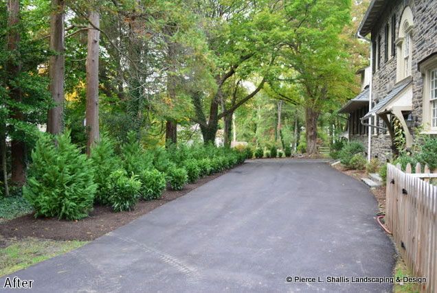 Curved driveway beside a stone house, lined with green trees and shrubs