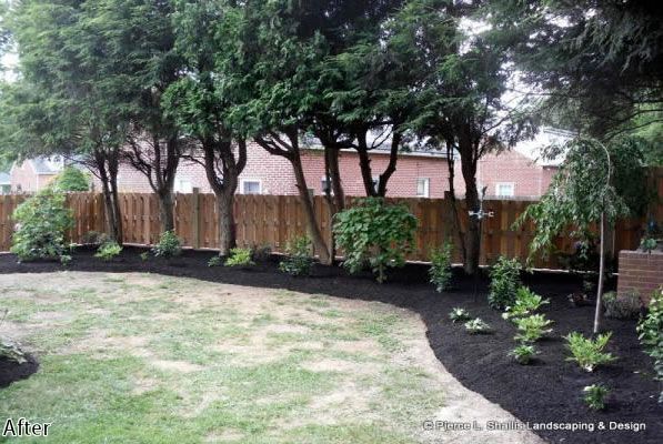 Landscaped backyard with trees, fresh mulch, curved lawn, and a wooden fence along the back.