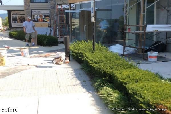 Building entrance with sidewalk, hedge, and construction materials in front, marked “Before”