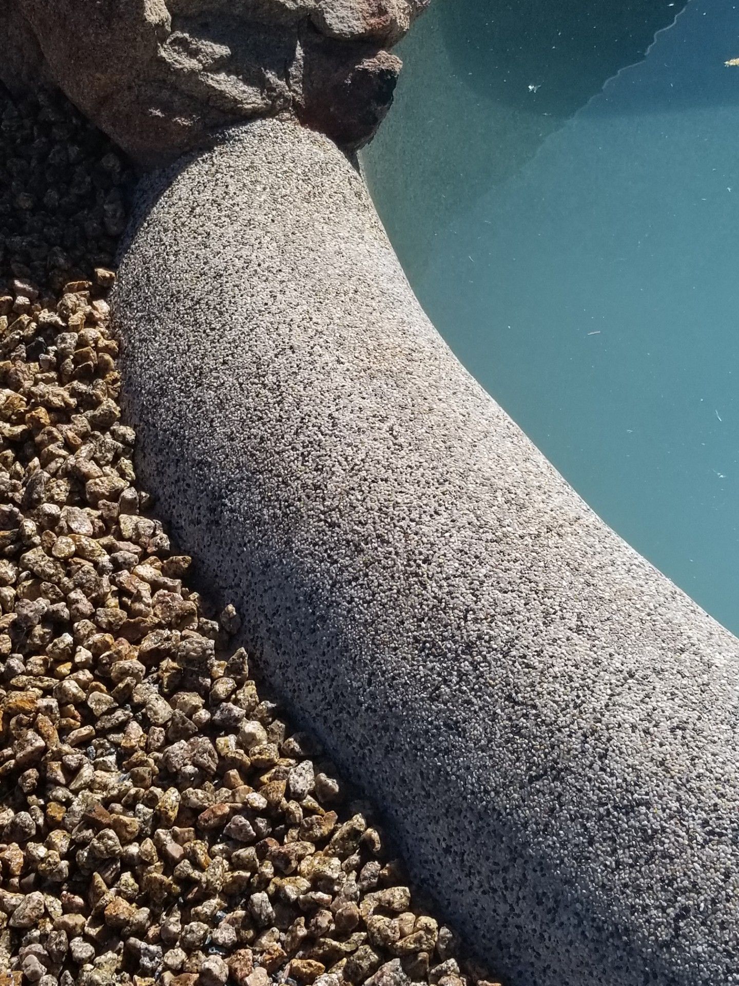 Curved, textured concrete pool coping with gravel border, next to blue water.