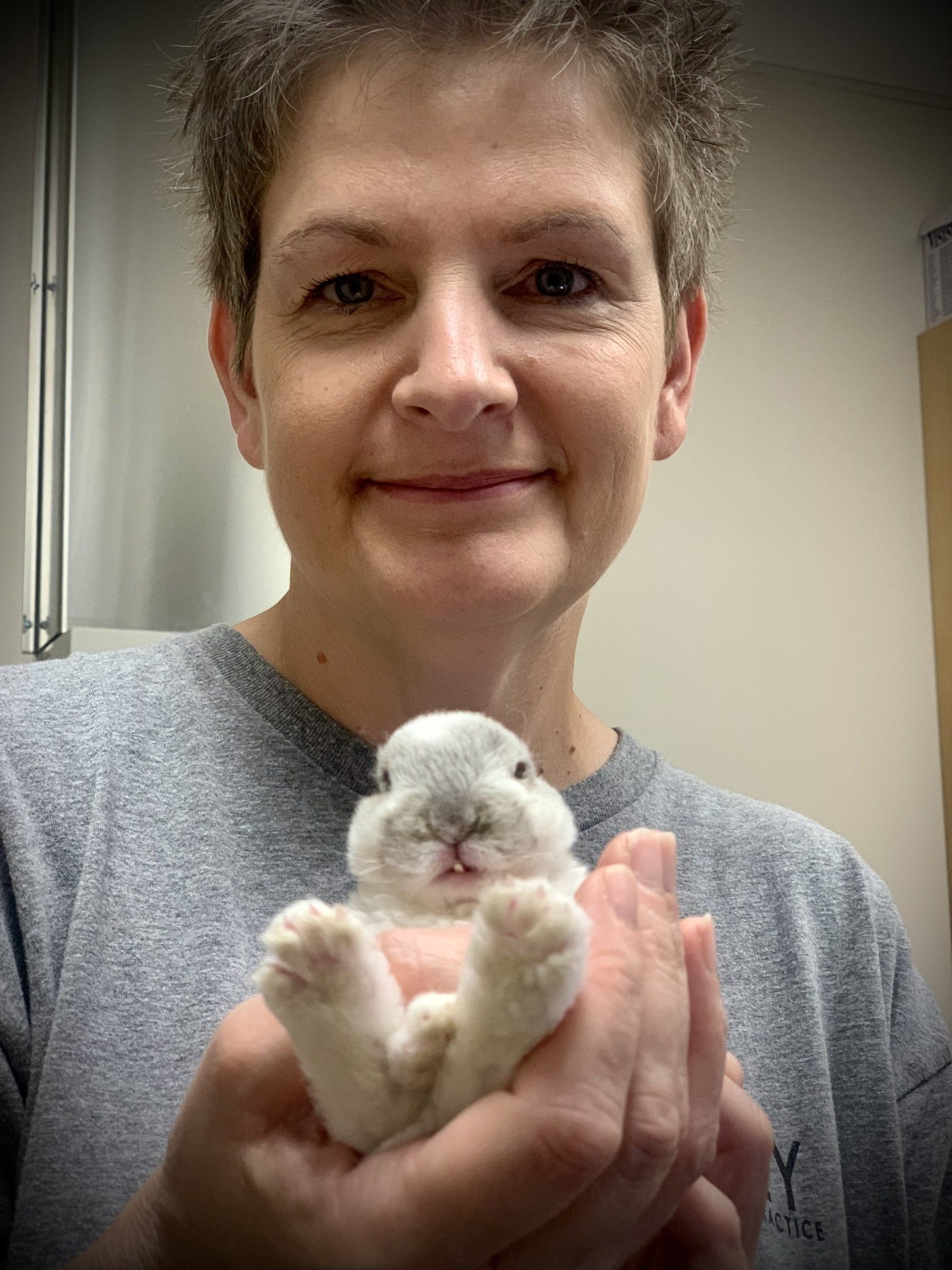 Haley Veterinary Practice, LLC Exotic Pet Vet Lebanon TN