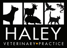 Haley Veterinary Practice, LLC