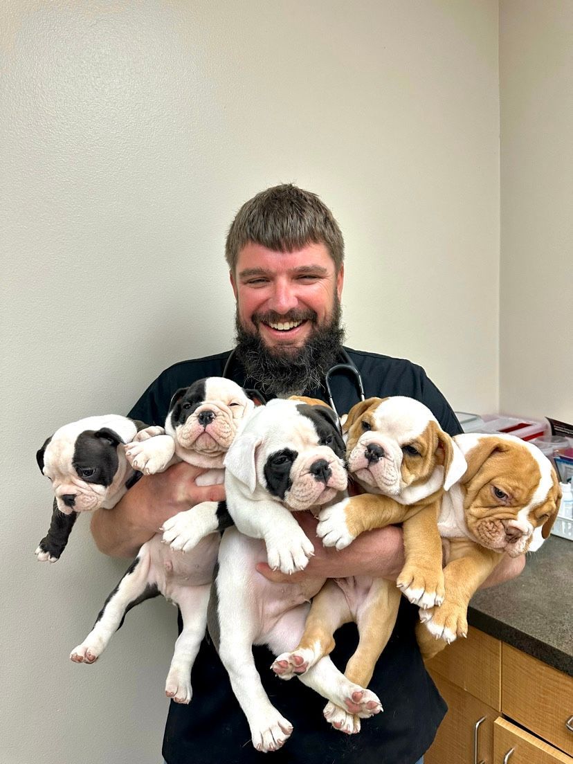Man smiling while holding five small puppies, including black, white, brown, and tan pups, indoors