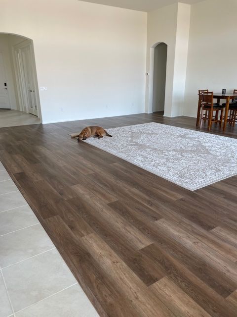 Dog resting on a rug in a room with wood flooring, neutral walls, and a dining table.