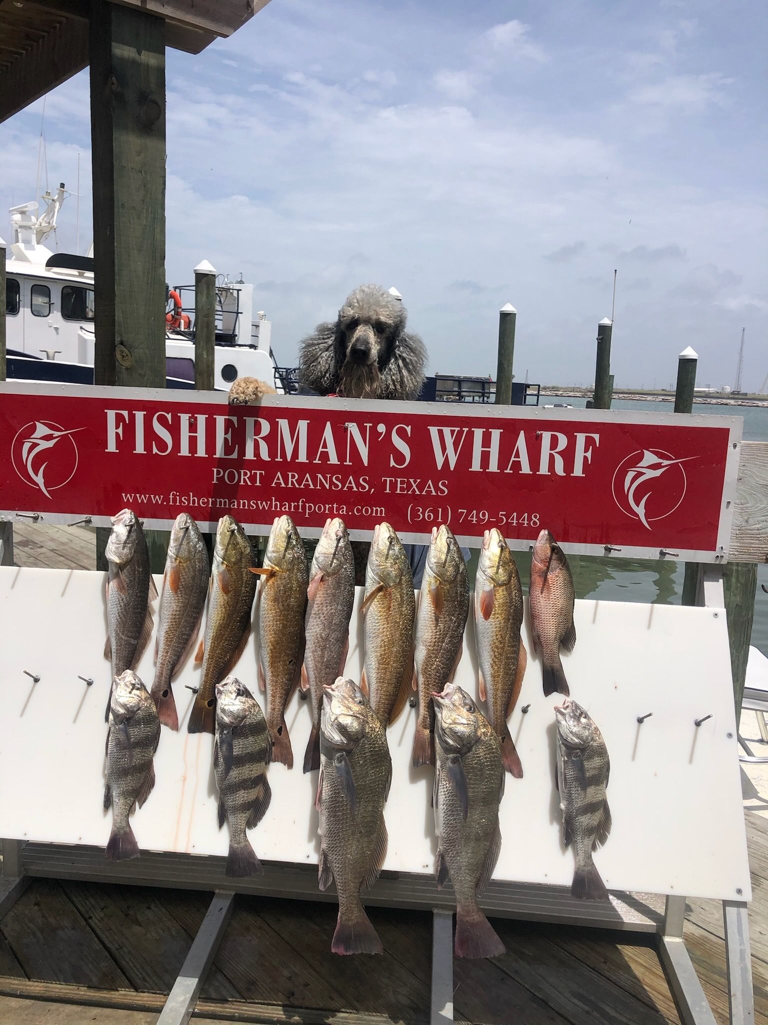 A fisherman 's wharf sign with a bunch of fish on it
