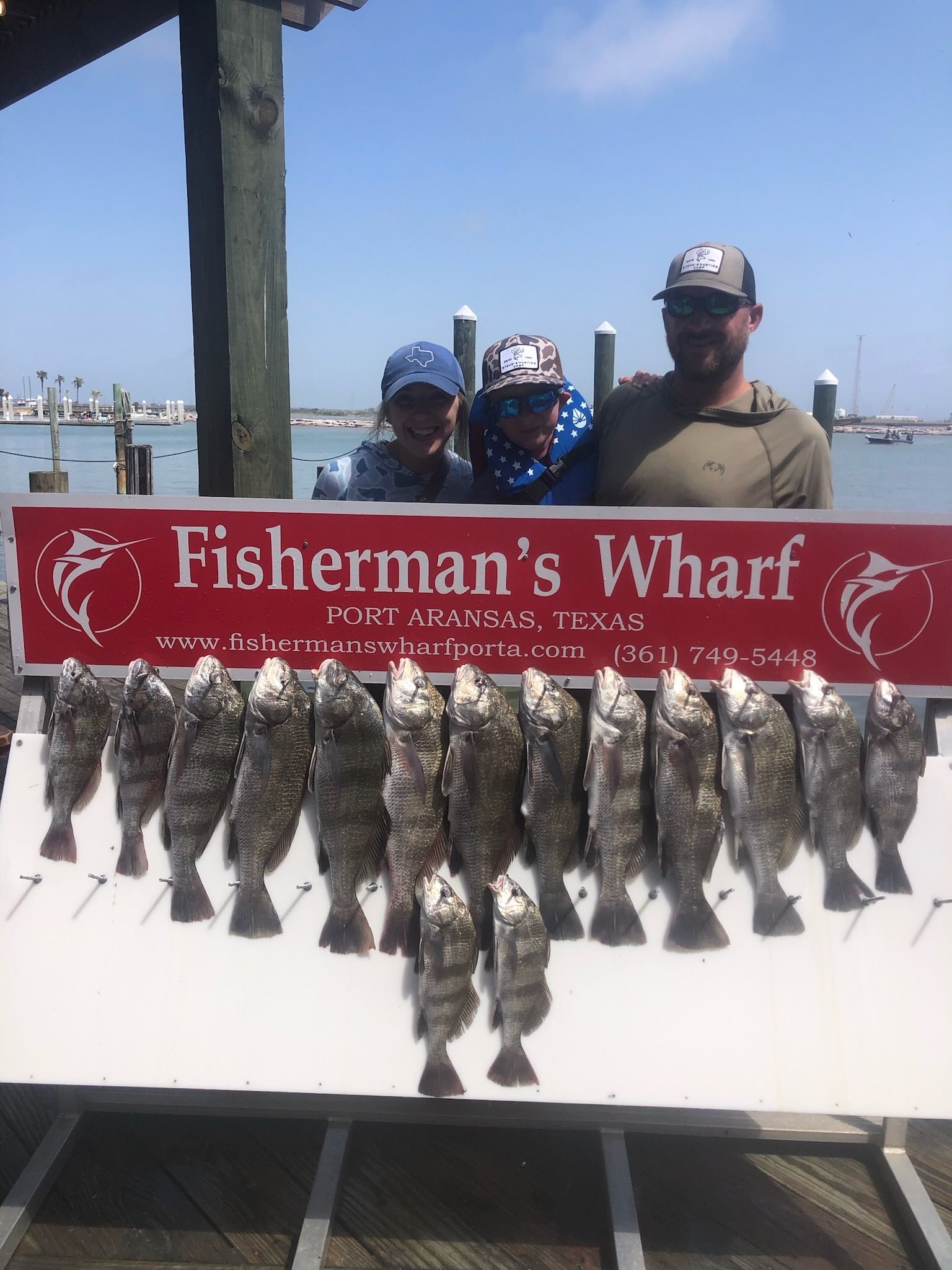 Fisherman 's wharf has a lot of fish on display
