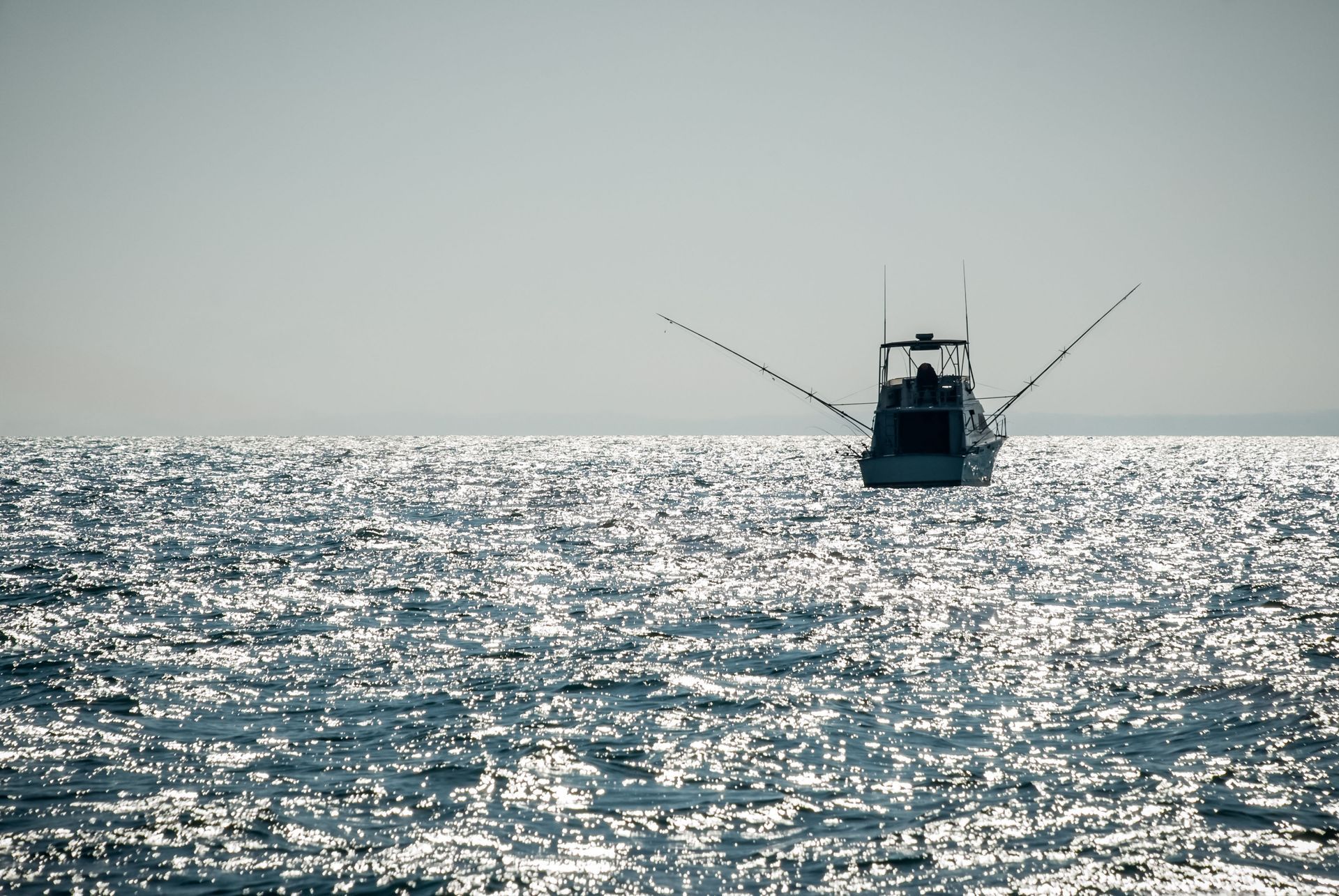 fishing charters