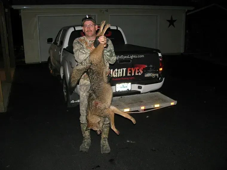 Man holding a large coyote beside a pickup truck at night with “NIGHT EYES” on the tailgate