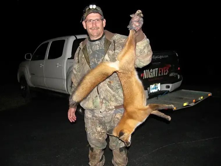 Camouflaged hunter holding a large fox by the hind legs beside a white truck at night