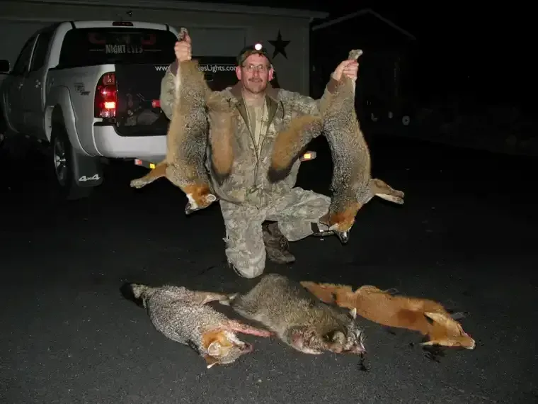 Person kneeling at night beside several hunted animals, holding two large ones in front of an SUV.