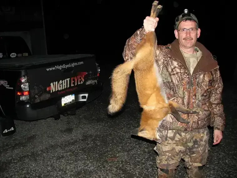 Man holding up a large fox by its tail beside a vehicle at night