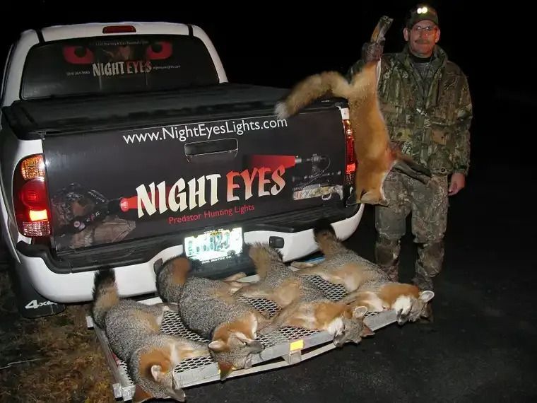 Hunter posing beside truck with several foxes laid out on the tailgate at night