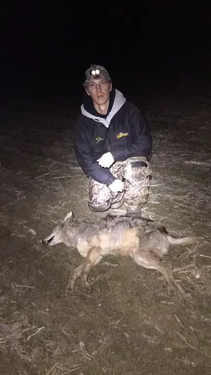 Person kneeling at night beside a dead deer in a field, holding it up by the legs.