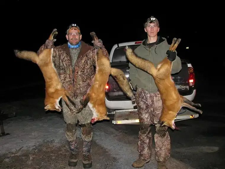 Two hunters in camouflage hold two deer by the legs beside an open truck at night