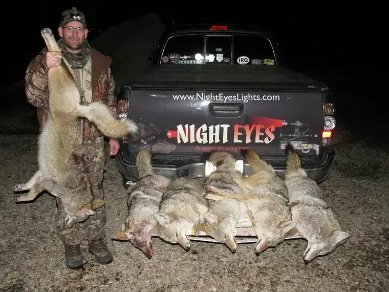 Hunter posing with a truck and a row of dead coyotes at night