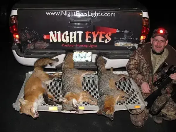 Man kneels beside a pickup truck tailgate with three dead coyotes and “NIGHT EYES” branding.