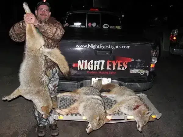Hunter holding a coyote beside a truck with “Night Eyes” branding and several coyotes on the ground