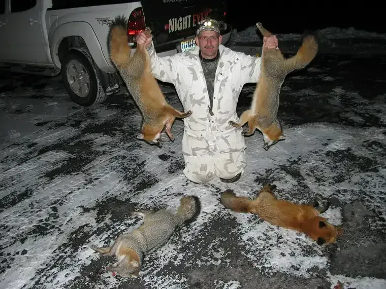 Person kneeling on snowy ground holding two foxes, with two more foxes nearby at night.