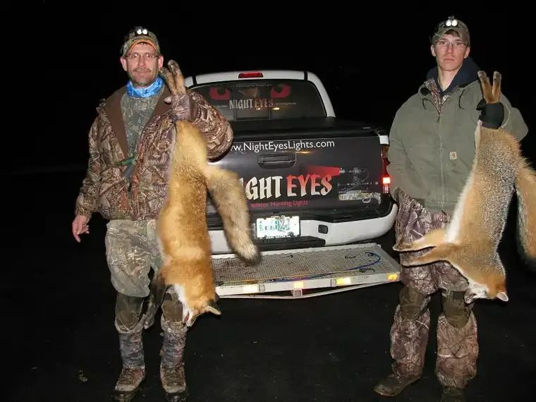 Two hunters pose at night beside a truck, holding large foxes by the legs.