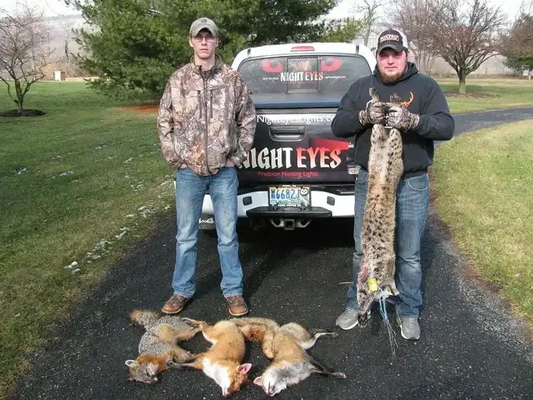 Two hunters stand by a truck with several dead coyotes and a hunting dog on a gravel road.
