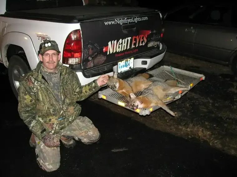 Man kneels beside a pickup truck, posing with several large fish laid out on a tailgate at night.
