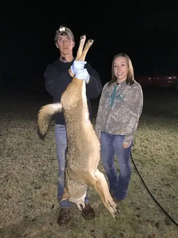 Two people at night holding a hanging deer by its legs on a grassy field