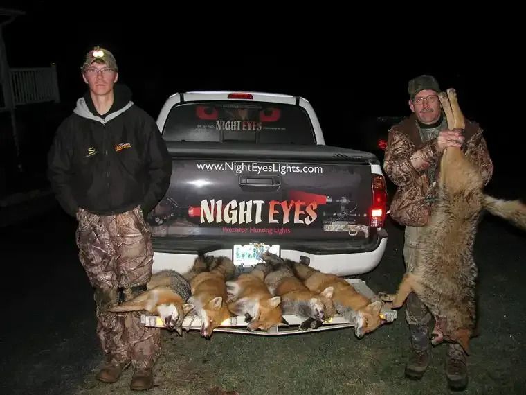 Two hunters pose by a truck with several dead foxes laid out on the ground at night.