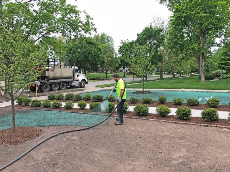 A man is spraying grass with a hose in a park