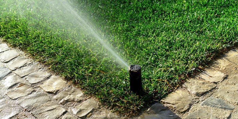 A lawn sprinkler is spraying water on a lush green lawn