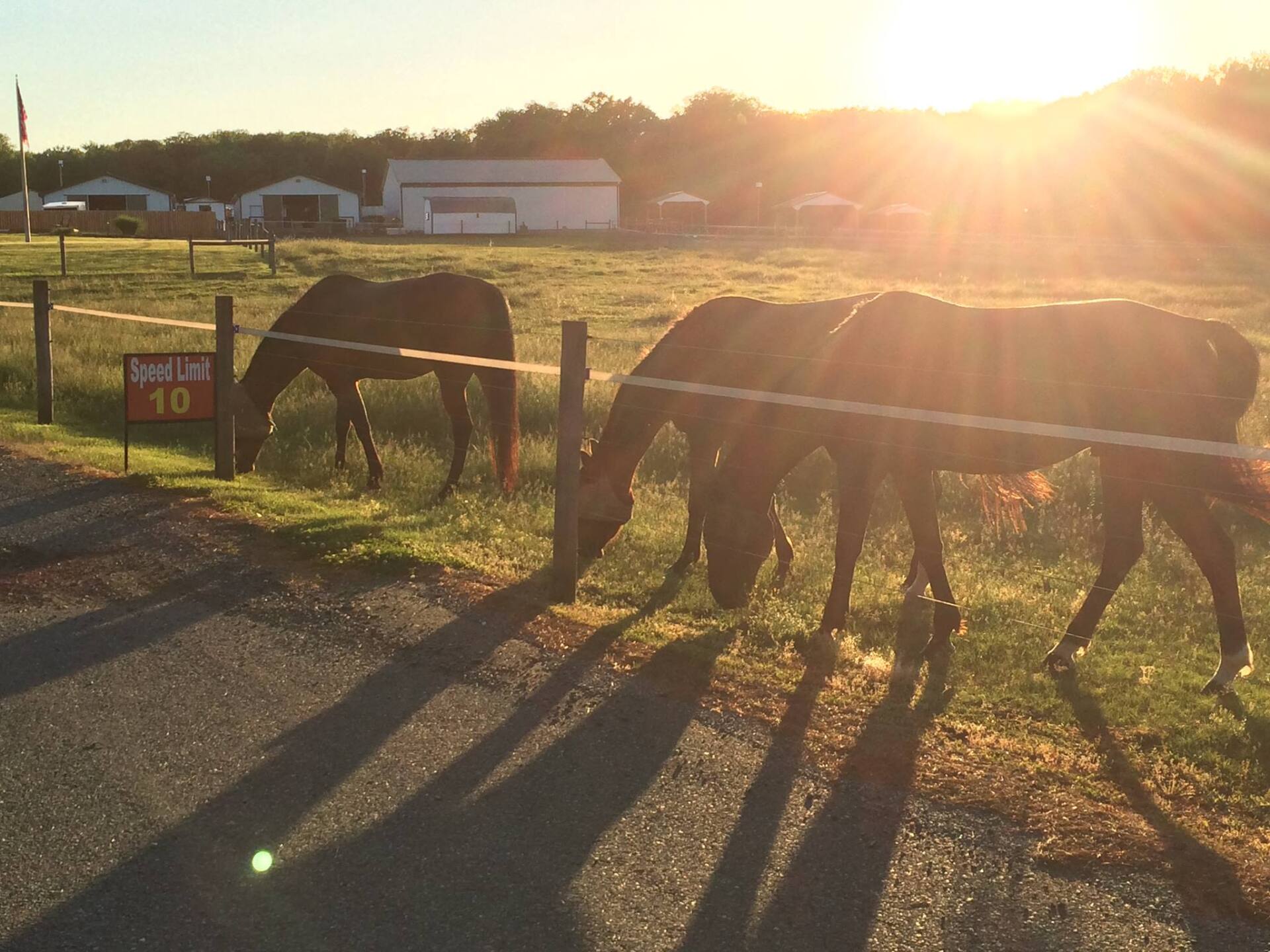 Flying K Farm Mulch Joppa, MD
