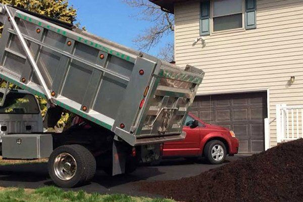 Learn More About Horse Boarding horses