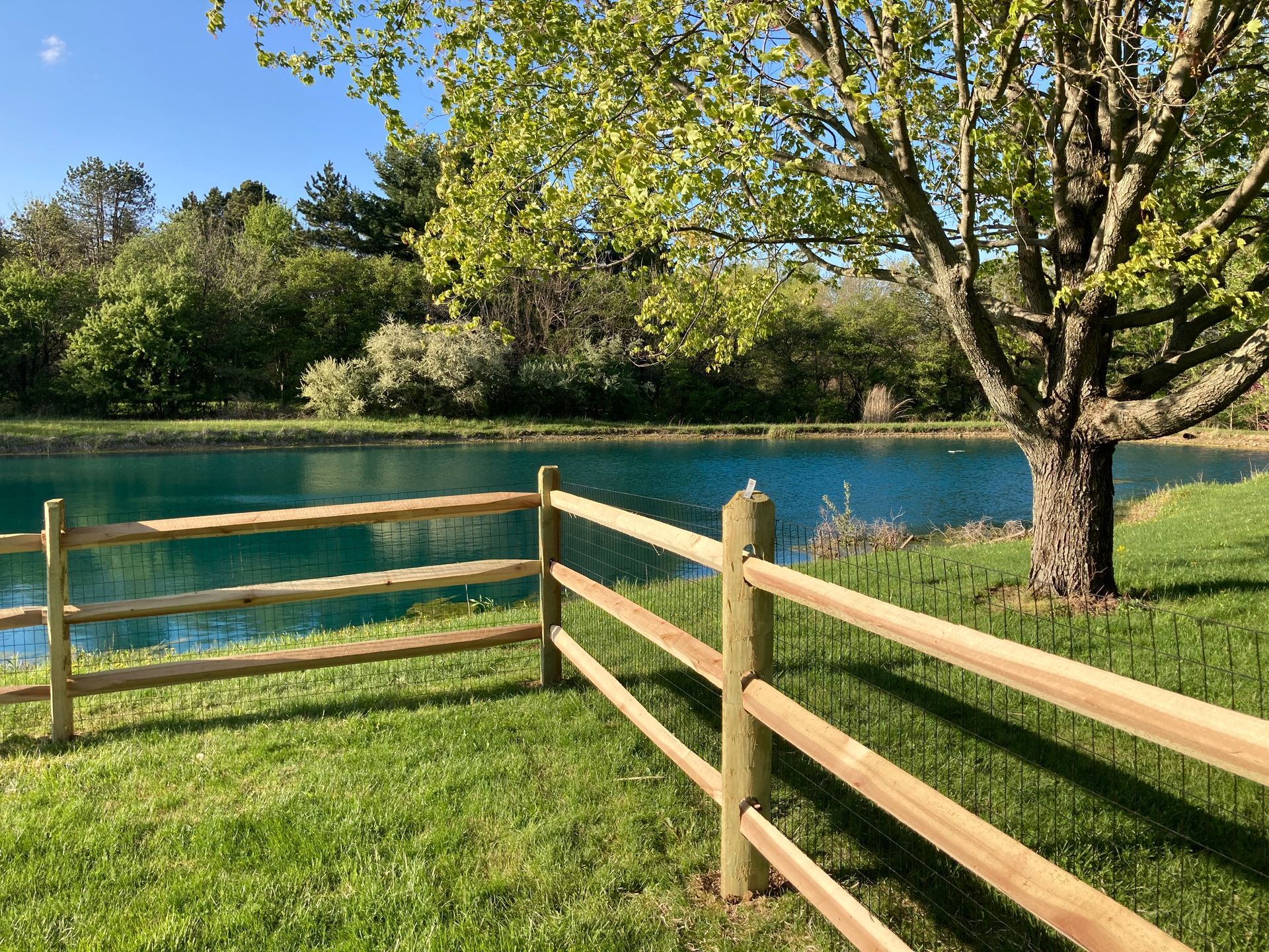 A wooden fence surrounds a lake with a tree in the foreground.