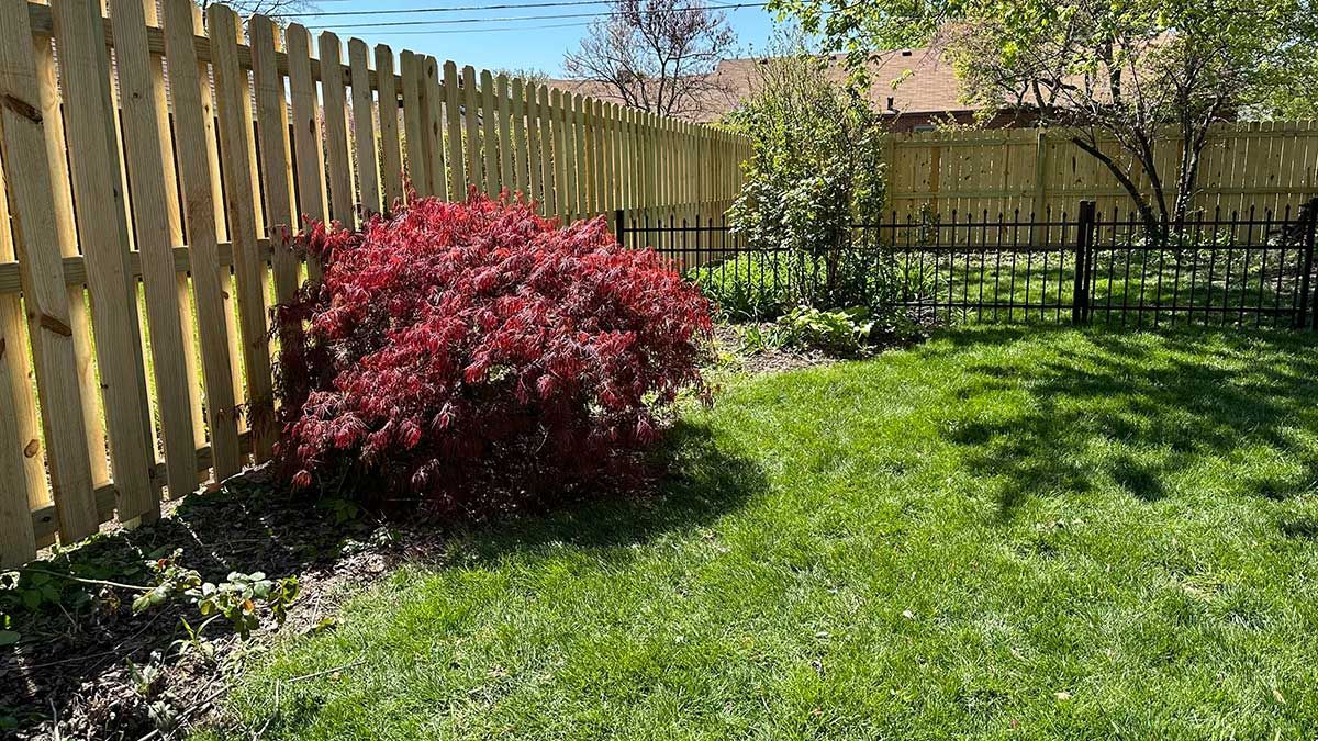 A wooden fence surrounds a lush green yard with a bush in the foreground.