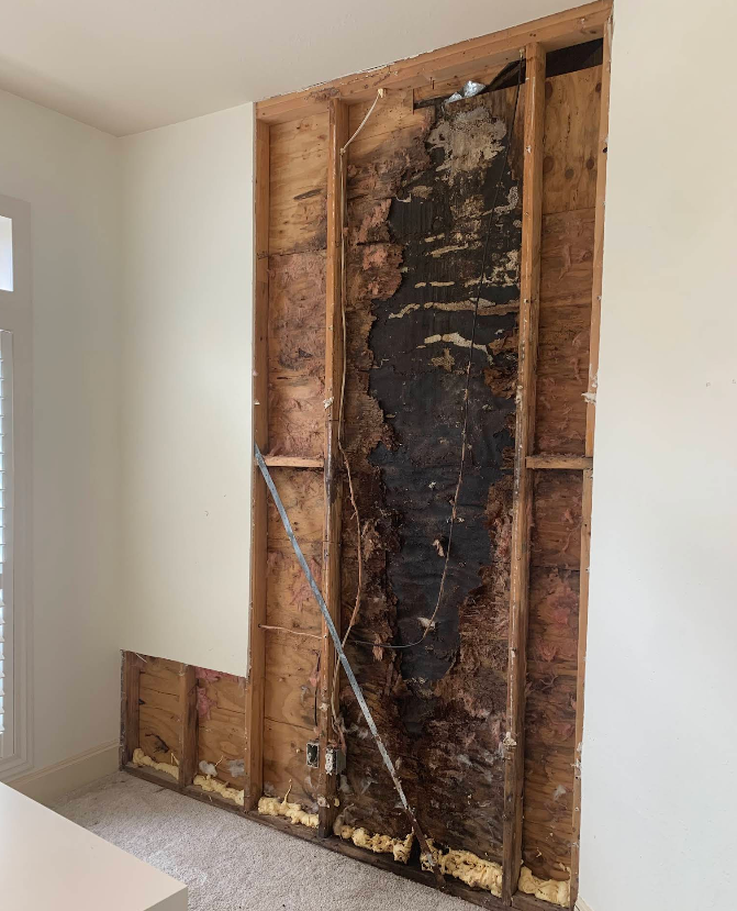 Interior wall opened to reveal water damage and mold on wood framing.