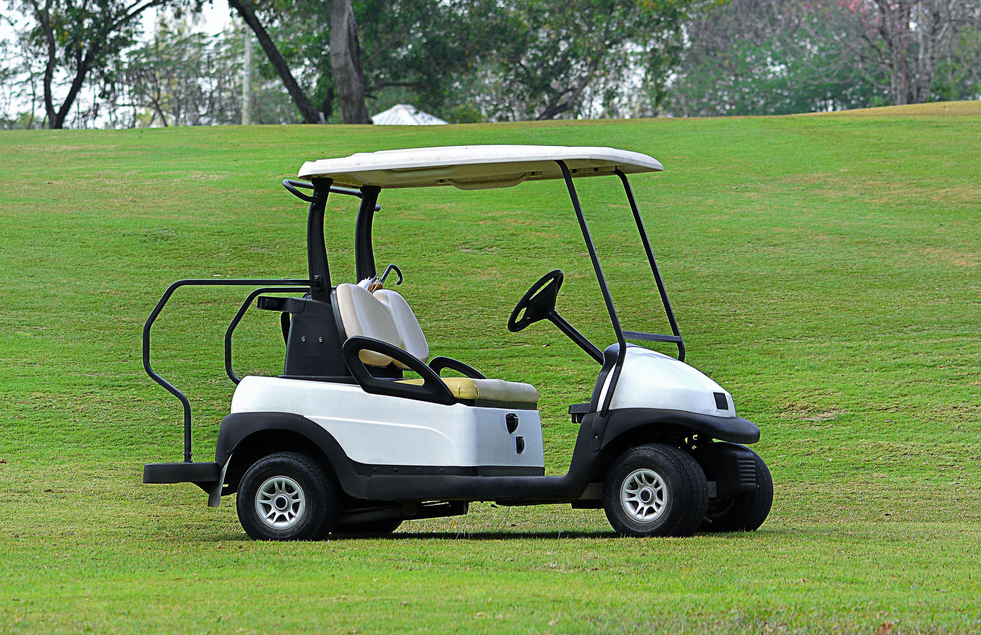 White golf cart on a green grassy hill.