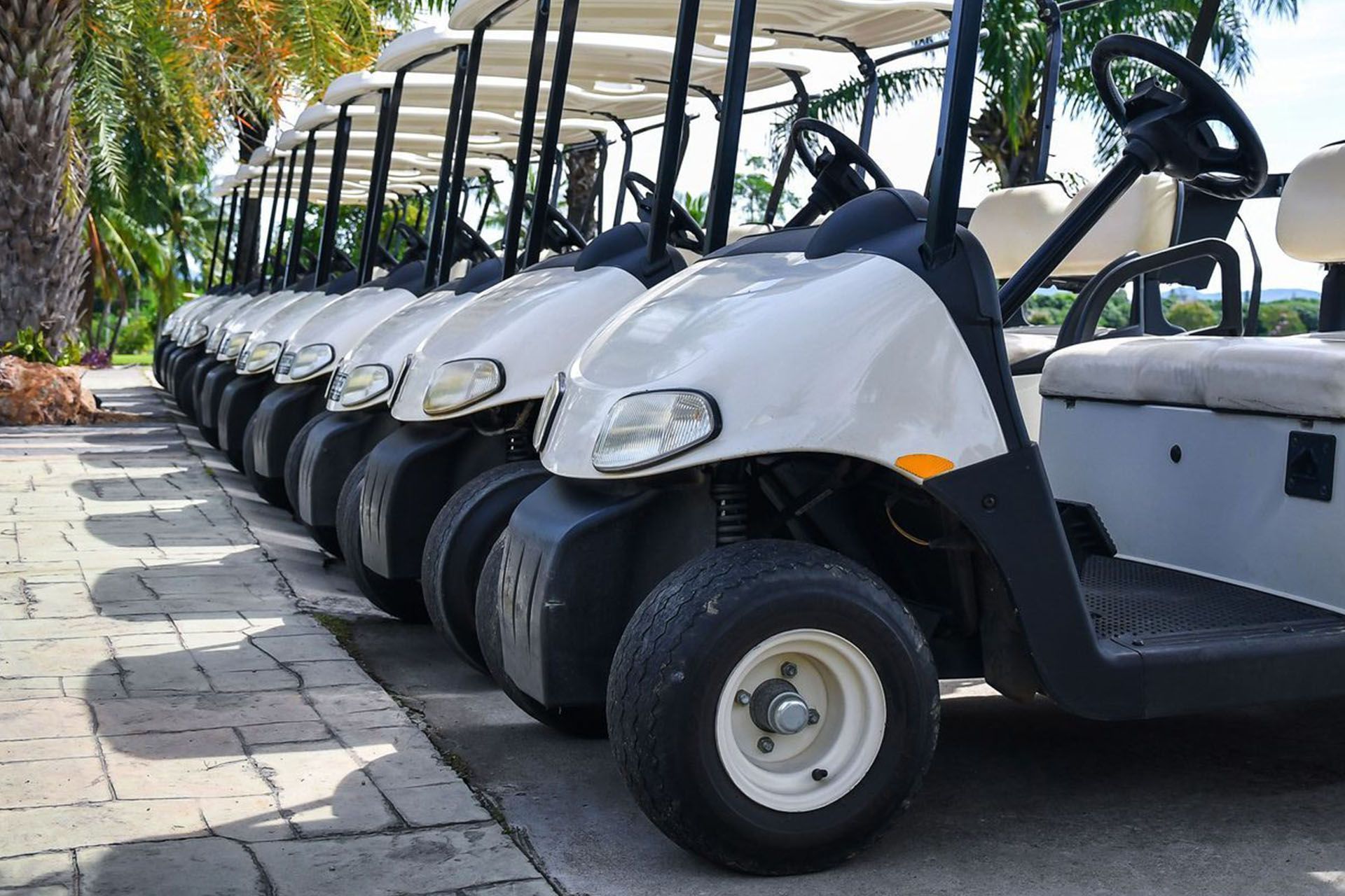 Row of white golf carts parked on a paved surface.