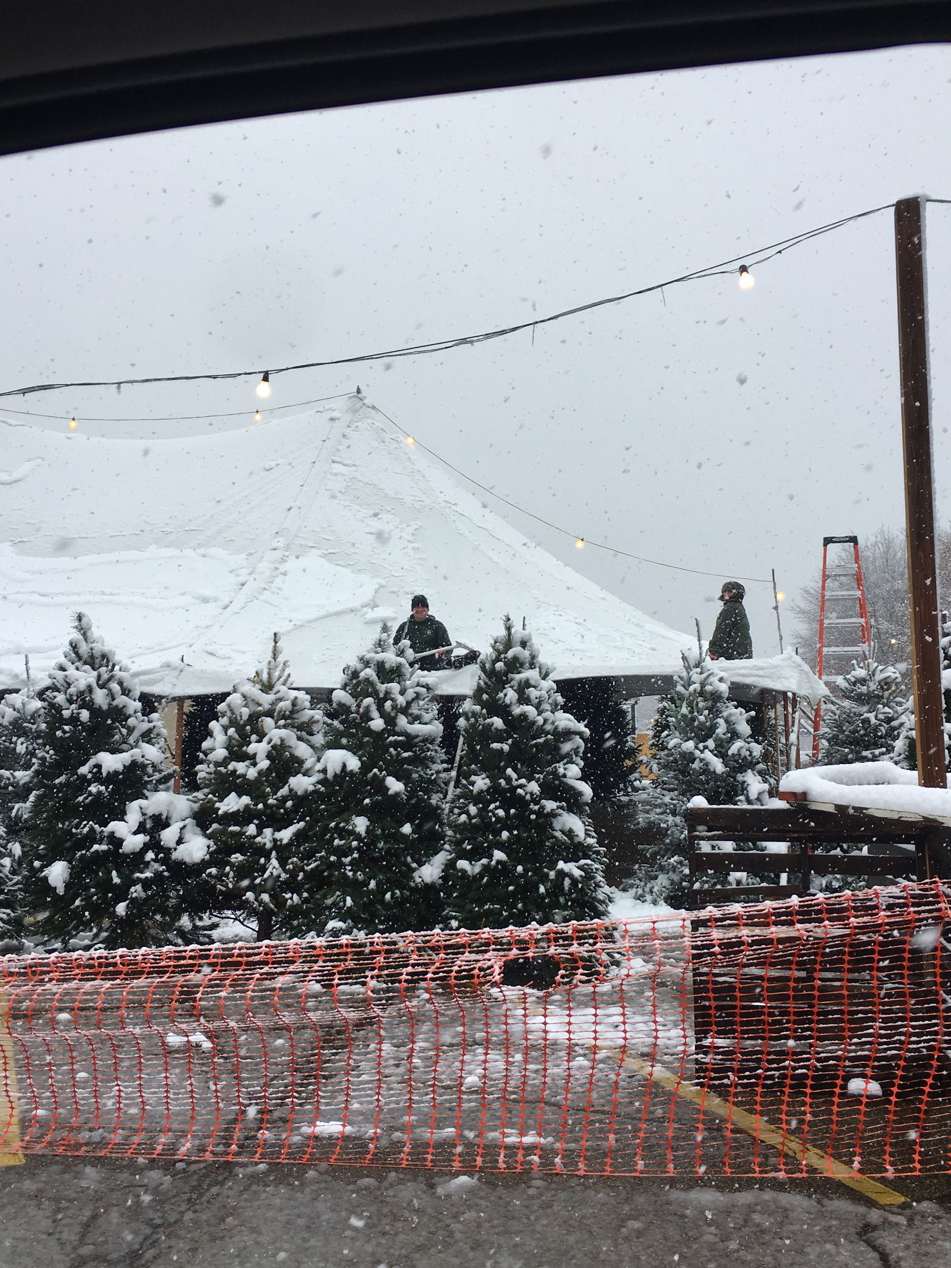 Snowy outdoor area with evergreen trees, orange safety fencing, and a tent-like structure in the background.