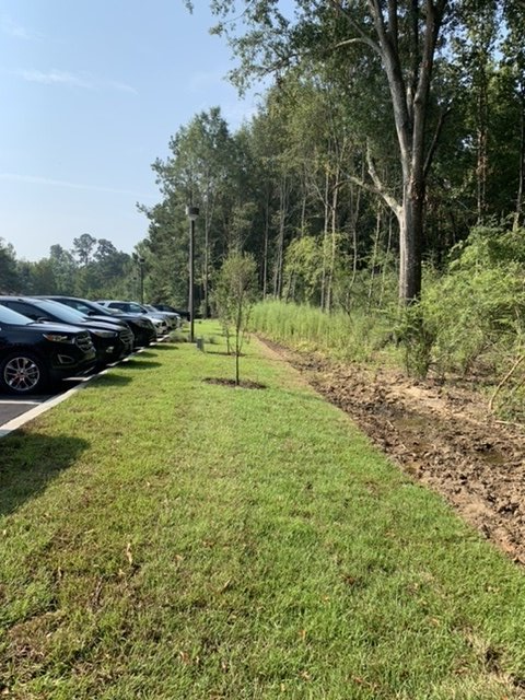 Landscaping and Landscape Restoration