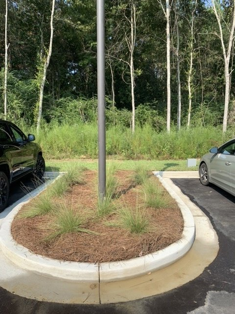 Landscaping and Landscape Restoration