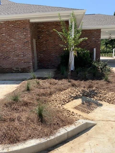 Landscaping and Landscape Restoration
